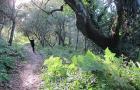 Tilden park hiking